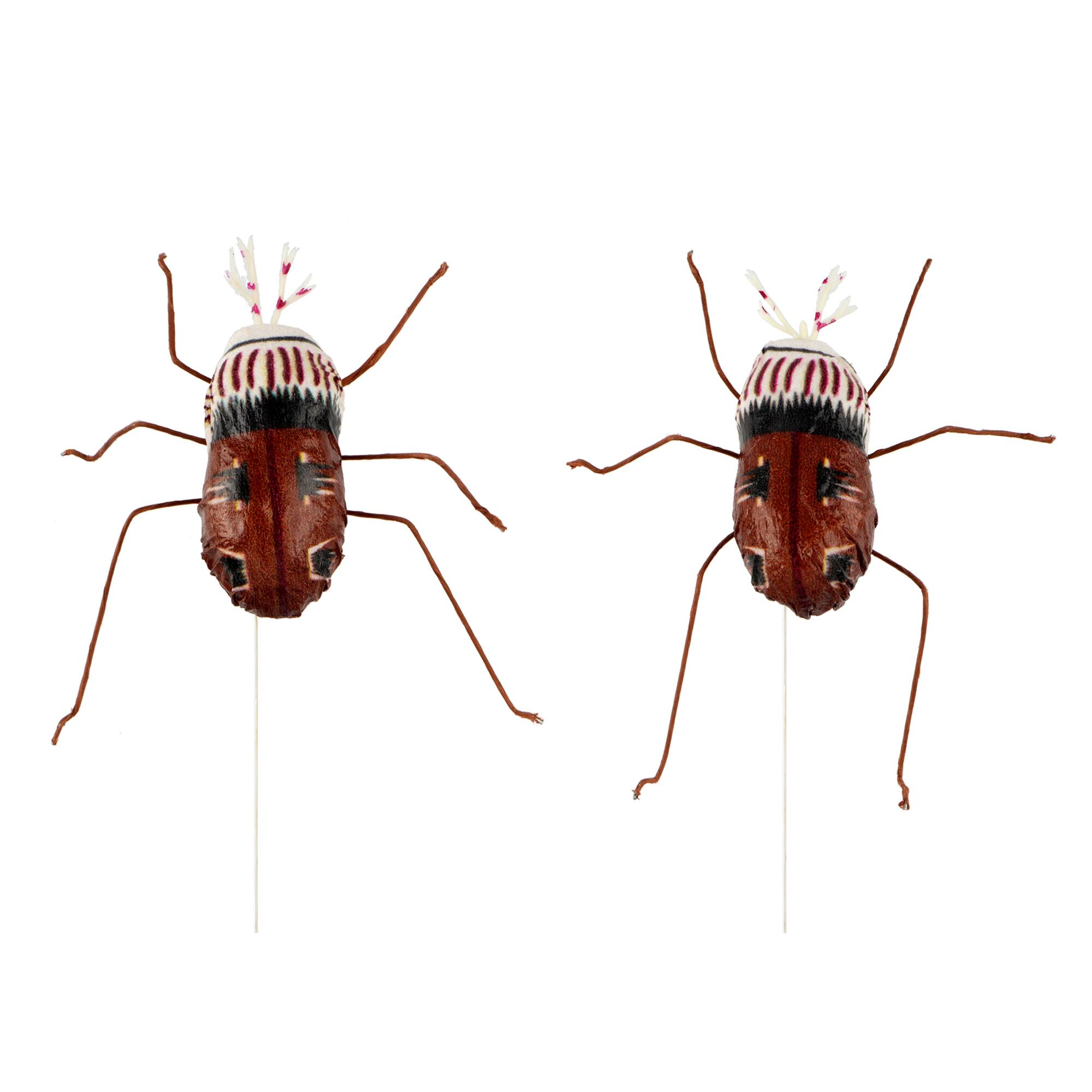 Bugs, 2ct. by Ashland®